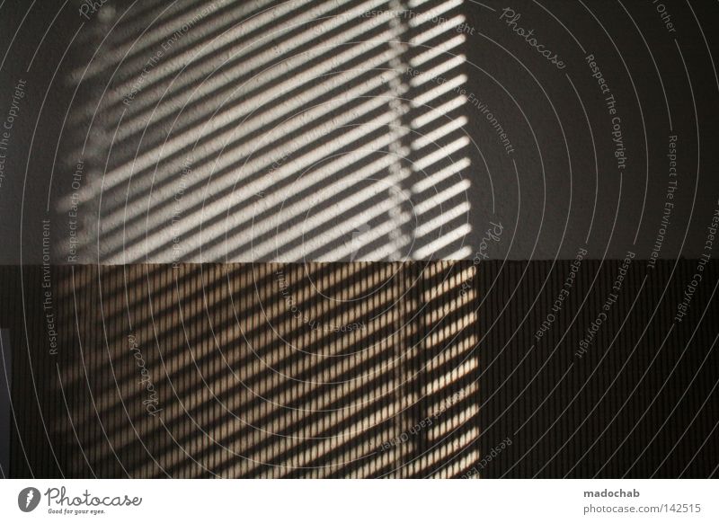 Herzchen & Karos Schatten Linie graphisch parallel Wand Sommer trist Jalousie Fenster limitiert schick Frieden Aussicht Strukturen & Formen pattern