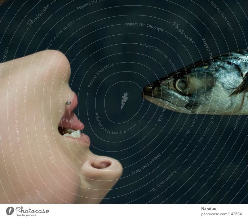 Zwiegespräche Fisch Makrele Frau blau Wasser Kinn Mund Ernährung Lippen Zunge Zähne sprechen Tier Tod lecker seltsam bizarr skurril Fleisch Kommunizieren