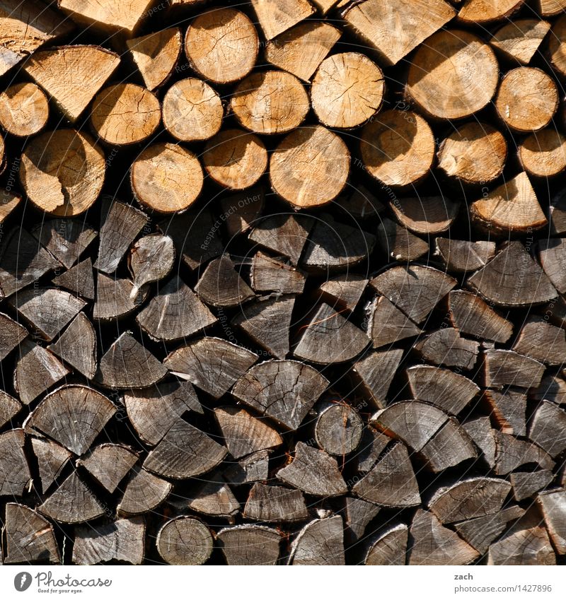 Woodstock Winter Energiewirtschaft Erneuerbare Energie Energiekrise Pflanze Baum Holz Brennholz Brennstoff dehydrieren Wachstum braun Kamin Holzstapel brennen