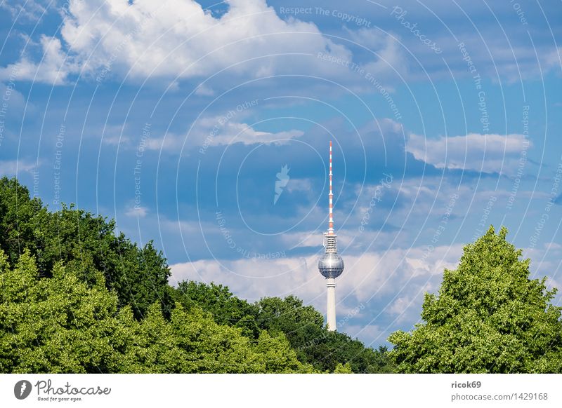 Der Berliner Fernsehturm Ferien & Urlaub & Reisen Tourismus Wolken Baum Stadt Hauptstadt Stadtzentrum Bauwerk Architektur Sehenswürdigkeit Wahrzeichen blau grün