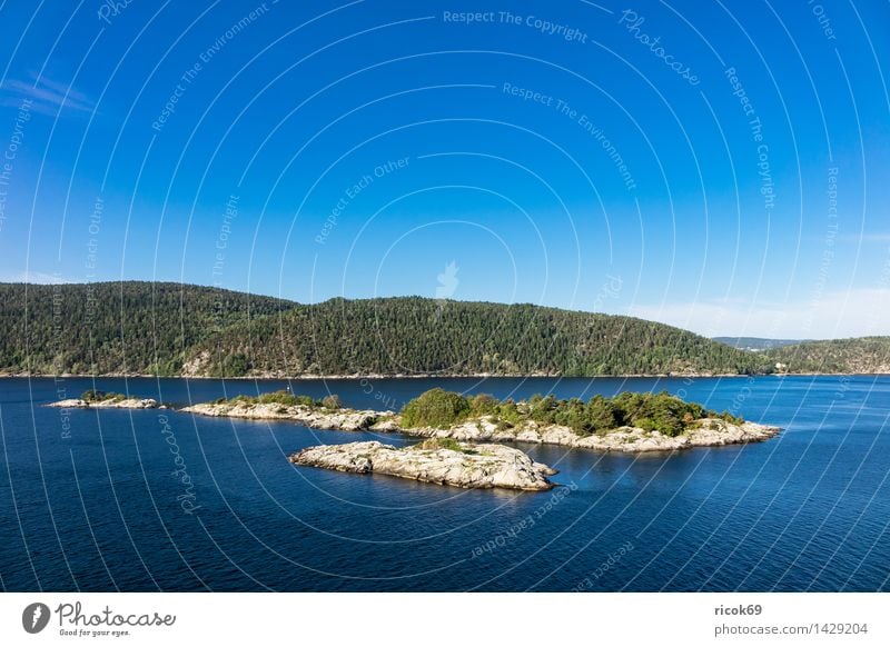 Inseln im Oslofjord Erholung Ferien & Urlaub & Reisen Natur Landschaft Wasser Wolken Baum Wald Felsen Küste Fjord Sehenswürdigkeit Stein blau grün Idylle