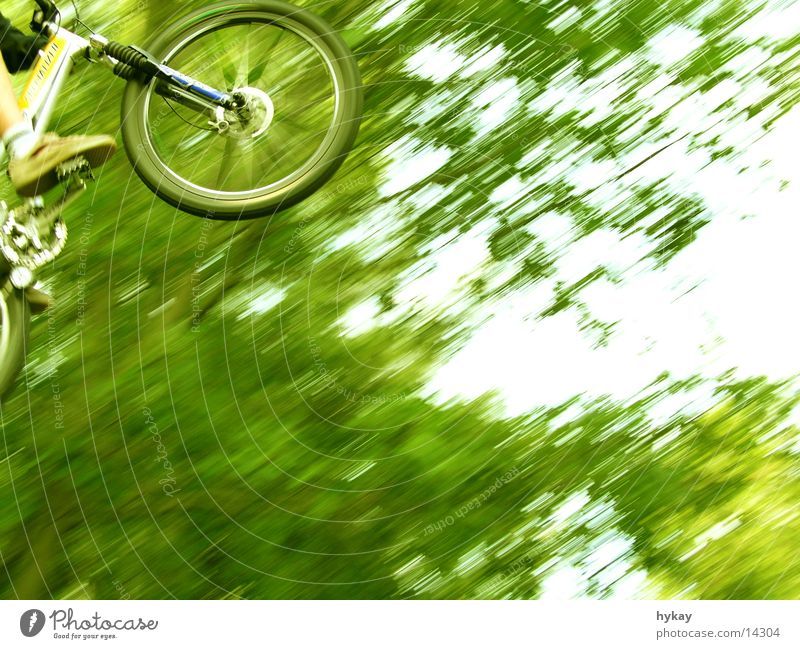 flying high Baum Mountainbike springen hoch Geschwindigkeit Freestyle grün Rampe Extremsport Natur Ferne Fahrrad federgabel Bewegung