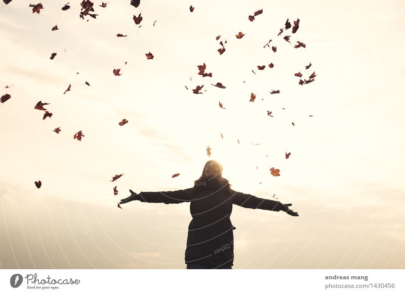 #313 / Herbst Junge Frau Jugendliche Erwachsene Blatt Jacke Erholung fangen fliegen genießen Umarmen werfen frei Fröhlichkeit Glück Unendlichkeit Freude