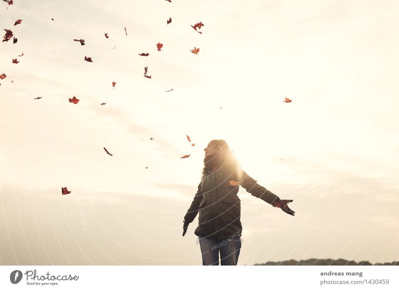 # 312 / Herbstflug Junge Frau Jugendliche Blatt Jacke Bewegung fliegen träumen werfen Ferne frei Glück Unendlichkeit Freude Fröhlichkeit Zufriedenheit