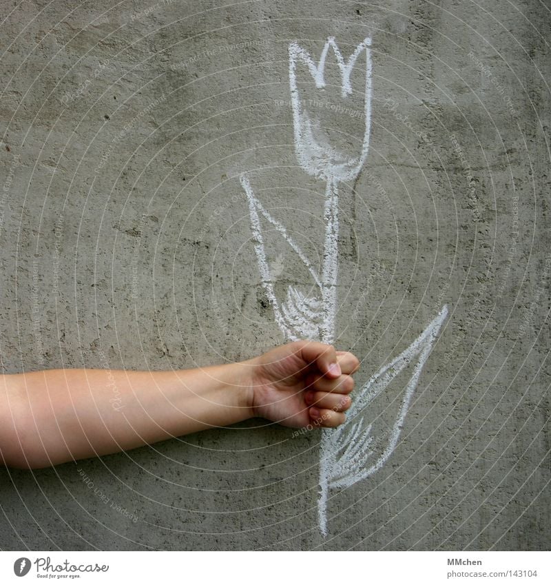 imaginär Blume Tulpe Amsterdam Kreide Wand Beton gezeichnet Gemälde zeichnen Arme greifen festhalten Hand Finger Geburtstag Malerei u. Zeichnungen