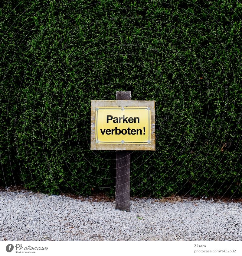 Parken verboten Natur Pflanze Sträucher Grünpflanze einfach nachhaltig natürlich Sauberkeit grün Gesellschaft (Soziologie) stagnierend Umwelt Stadt
