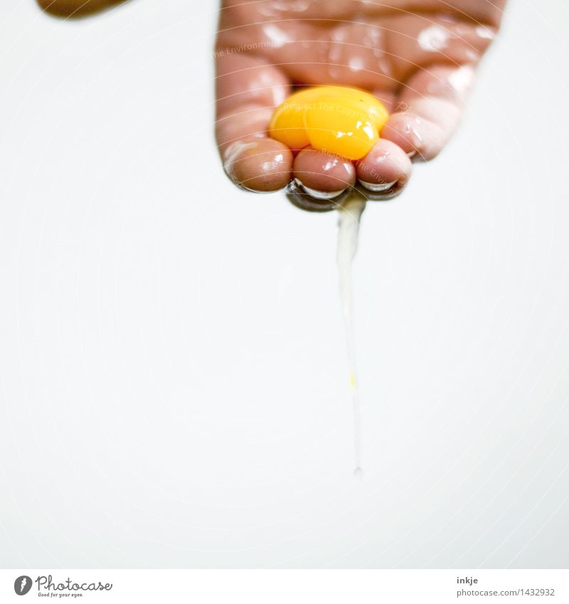 Hand, die ein Eigelb hält Lebensmittel Eiklar Ernährung Essen Zutaten Jugendliche Erwachsene Finger festhalten Ekel innovativ Glätte schleimig