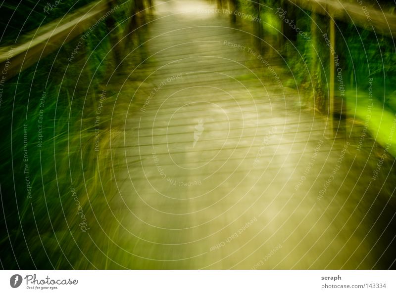 Green Motion Steg abstrakt Bewegungsunschärfe Unschärfe Hintergrundbild Biotop Konstruktion Fluchtpunkt Geschwindigkeit weich Brückenbau diffus Licht Durchgang