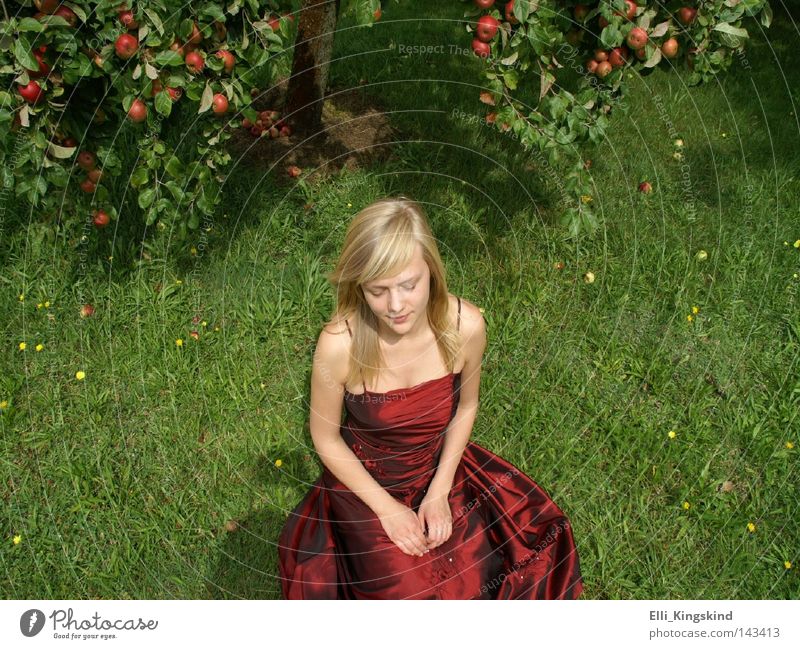 Das Apfelmädchen Apfelbaum rot grün Kleid lang Rasen blond Frau sitzen Gras Garten Wiese gelb Trauer Denken gefaltet reif schön Pauline Traurigkeit