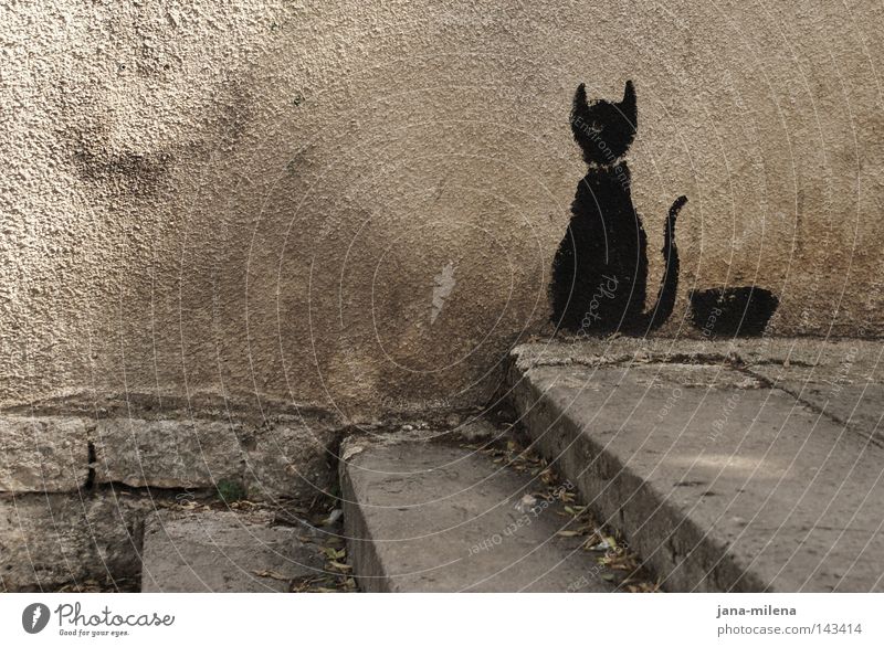 Wandkatze. Haus Putz verputzt Katze Tier streichen bemalt schwarz Fressnapf Ernährung Fressen Futter Treppe Mauer Straßenkunst Hinterhof grau Schwanz Einsamkeit