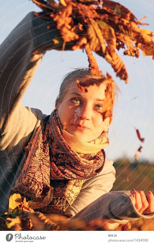 Käferkontrolle... feminin Junge Frau Jugendliche Umwelt Natur Herbst Glück herbstlich Herbstlaub Herbstfärbung Farbfoto Tag Licht Schatten Lichterscheinung
