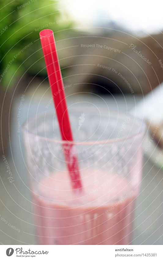 Kaltgetränk Milcherzeugnisse Frucht Milchshake Erdbeeren Erdbeereis Frühstück trinken Erfrischungsgetränk Lifestyle Freude Freizeit & Hobby