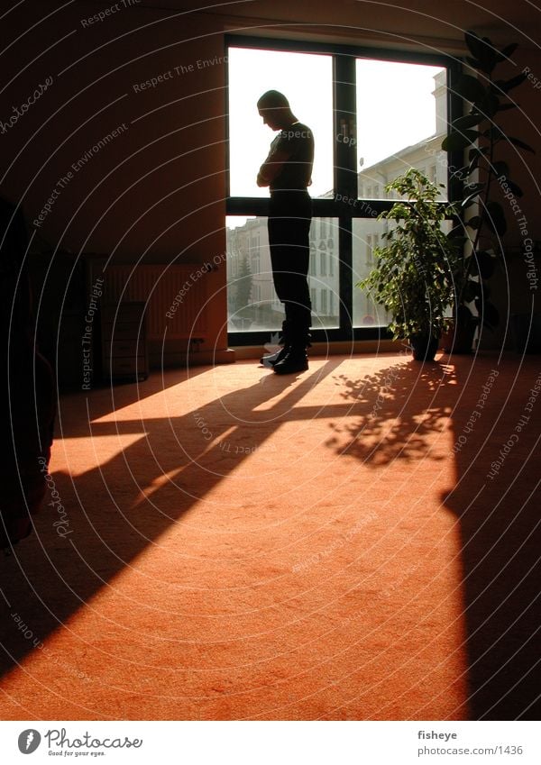Am Fenster Mann Gegenlicht Mensch Sonne Silhouette Schatten