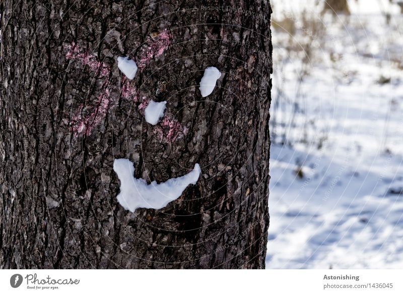 ein kühles Lächeln Gesicht Auge Nase Mund Umwelt Natur Landschaft Winter Eis Frost Schnee Schneefall Pflanze Baum Park Holz Blick Freundlichkeit Fröhlichkeit
