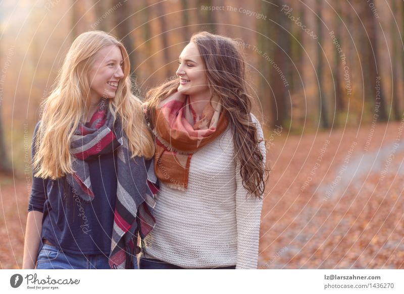 Zwei Freundinnen, die durch Herbstwaldland gehen Lifestyle Stil Freude Glück Gesicht Sonne Frau Erwachsene Freundschaft Hand 2 Mensch 13-18 Jahre Jugendliche