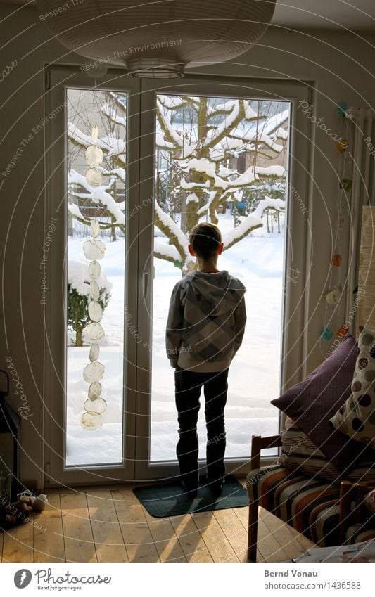 Schnee Mensch maskulin Kind Junge Kindheit 1 8-13 Jahre Blick stehen Winter Haus Fenster Terrasse hell Baum Garten kalt Holzfußboden Lampe Wohnzimmer Sessel