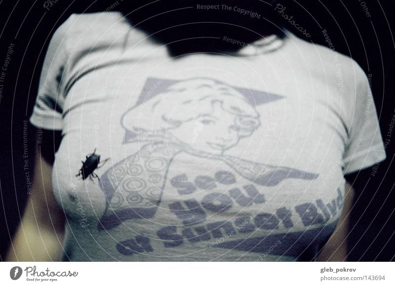Käfer. Bekleidung Sonnenuntergang Frau T-Shirt Wanze Licht Lichterscheinung Straße Hand Russland Sibirien Mensch Titten Zuhälter Lichtquelle Blitzeffekt