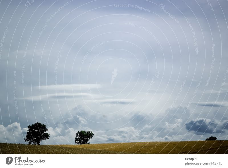 Frei Hintergrundbild Wiese Feld Wolken Pflanze Freiraum Erholung Frieden Aussicht Horizont zyan minimalistisch Leichtigkeit leicht ländlich ökologisch