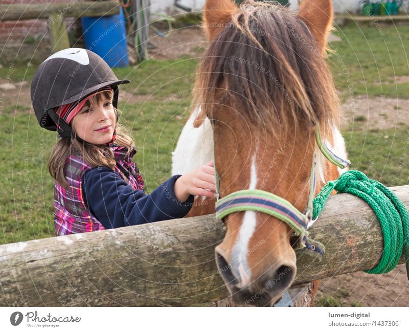 Mädchen mit Pony Lifestyle Reitsport Kind Freundschaft 3-8 Jahre Kindheit Natur Tier Pferd Holz Liebe Fröhlichkeit Portrait Bauernhof gestalten Halfter Hufeisen
