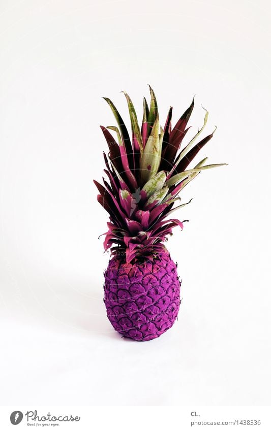 es ist was es ist Lebensmittel Frucht Ananas Ernährung ästhetisch außergewöhnlich einzigartig violett Farbe innovativ Inspiration Kreativität skurril Farbfoto