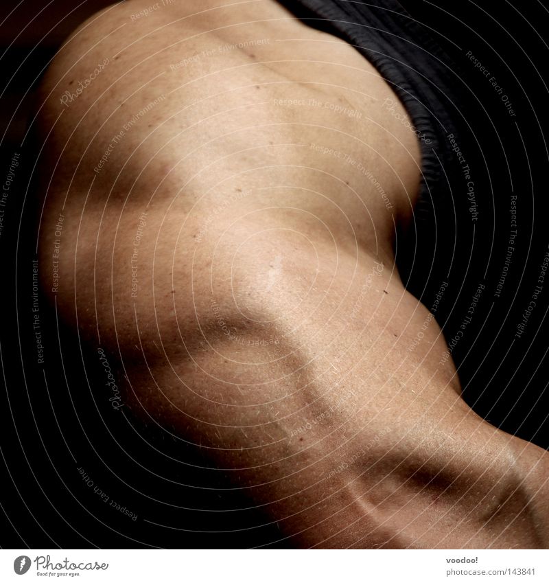Musculus triceps brachii Muskulatur Trizeps Arme Kraft Sport-Training Körperhaltung Haut Gesundheit Anatomie Detailaufnahme Bildausschnitt Anschnitt