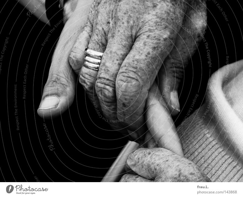 Hände Hand Mann Frau Senior alt Vertrauen vertraut Schutz festhalten Ring Falte Hautfalten trösten Mutter Kommunizieren Intimität nah Liebe Zärtlichkeiten