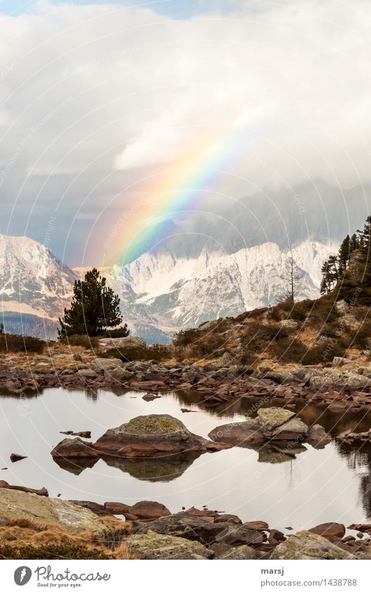 Ein frohes Fest Natur Landschaft Wolken Herbst schlechtes Wetter Alpen Berge u. Gebirge Dachstein Regenbogen Zeichen leuchten Erinnerung Symbole & Metaphern