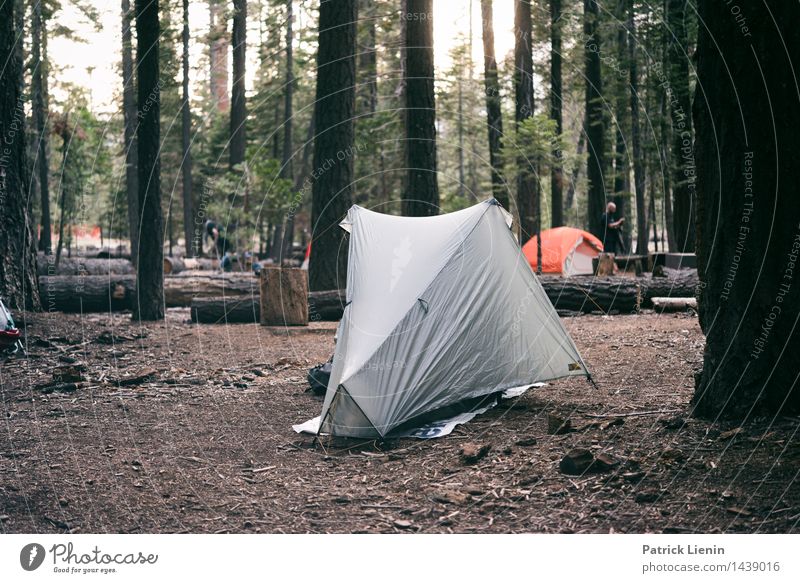 Yosemite Valley Camping Lifestyle Wellness harmonisch Wohlgefühl Zufriedenheit Sinnesorgane Erholung ruhig Ferien & Urlaub & Reisen Tourismus Ausflug Abenteuer