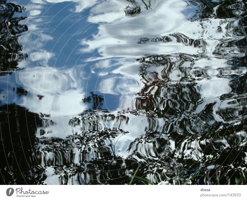 Spiegelwasser Wasser Himmel Reflexion & Spiegelung Wind Wellen Meerestiefe Toskana Teich Bewegung