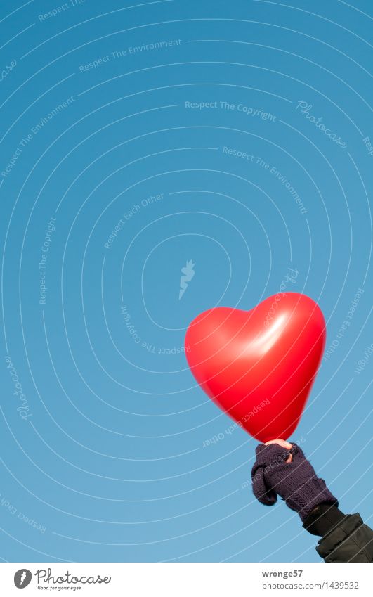 Herz zeigen! Arme Hand 1 Mensch 45-60 Jahre Erwachsene Luftballon Glück blau rot schwarz Gefühle Lebensfreude Frühlingsgefühle Sympathie Liebe Verliebtheit