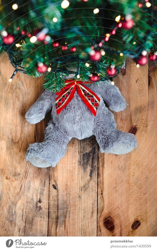 Teddybär unter dem Weihnachtsbaum Dekoration & Verzierung Weihnachten & Advent Baum Spielzeug Holz Tradition Bär Gast Textfreiraum Dezember Etage Geschenk
