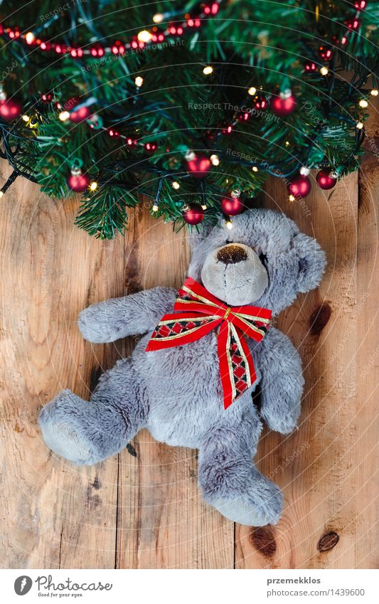 Teddybär unter dem Weihnachtsbaum Dekoration & Verzierung Weihnachten & Advent Baum Spielzeug Holz Tradition Bär Gast Dezember Etage Geschenk Feiertag heimwärts