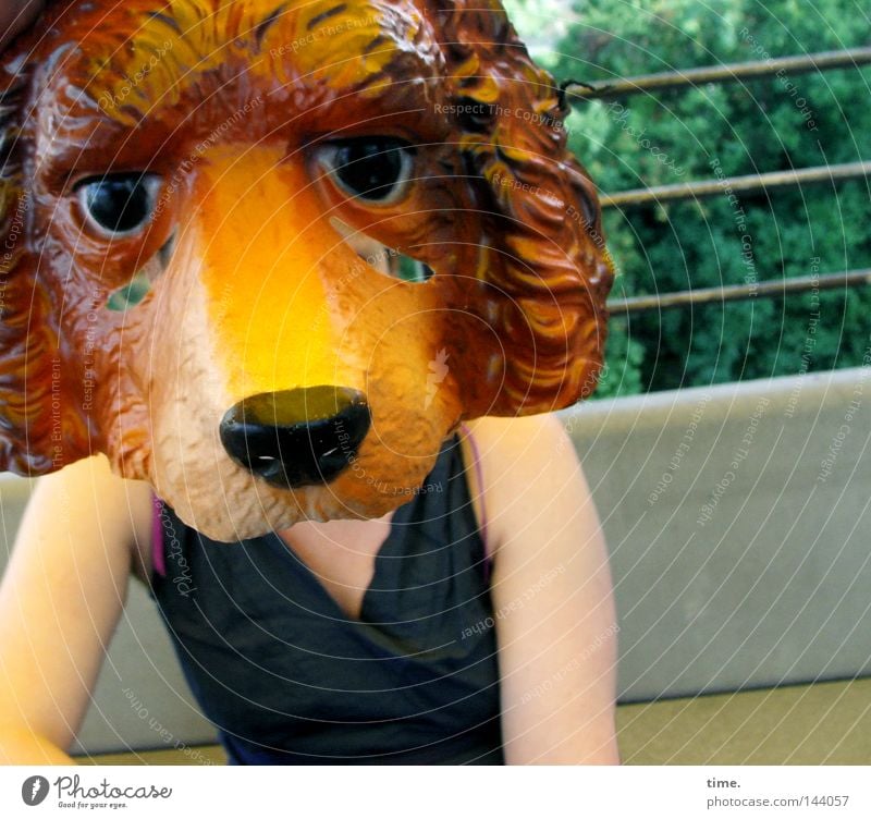 Making Of 'So What ...' [La Chamandu] Freude Karneval Arme Bekleidung Kleid Maske Hund verrückt Idee verkleiden Farbfoto Außenaufnahme Nahaufnahme