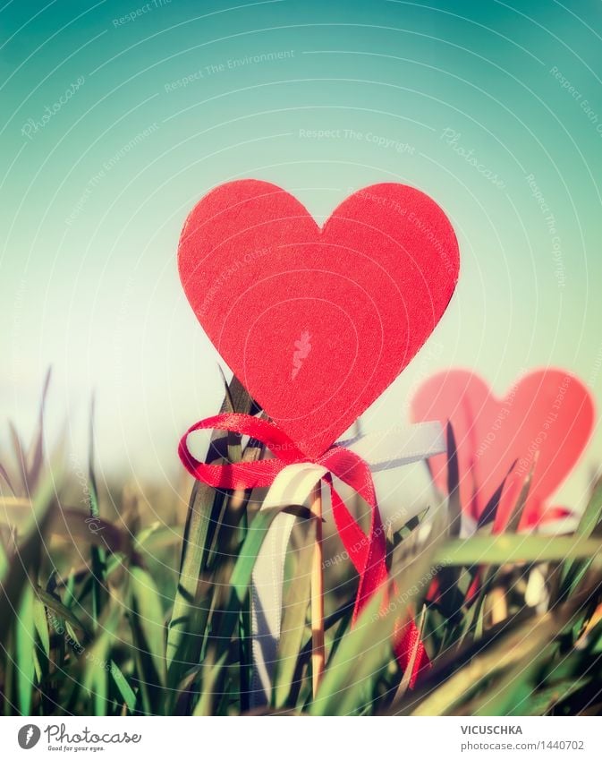 Rotes Herz Schild im Gras Stil Design Leben Garten Valentinstag Natur Himmel Sonnenlicht Frühling Sommer Schönes Wetter Park Liebe retro Hintergrundbild