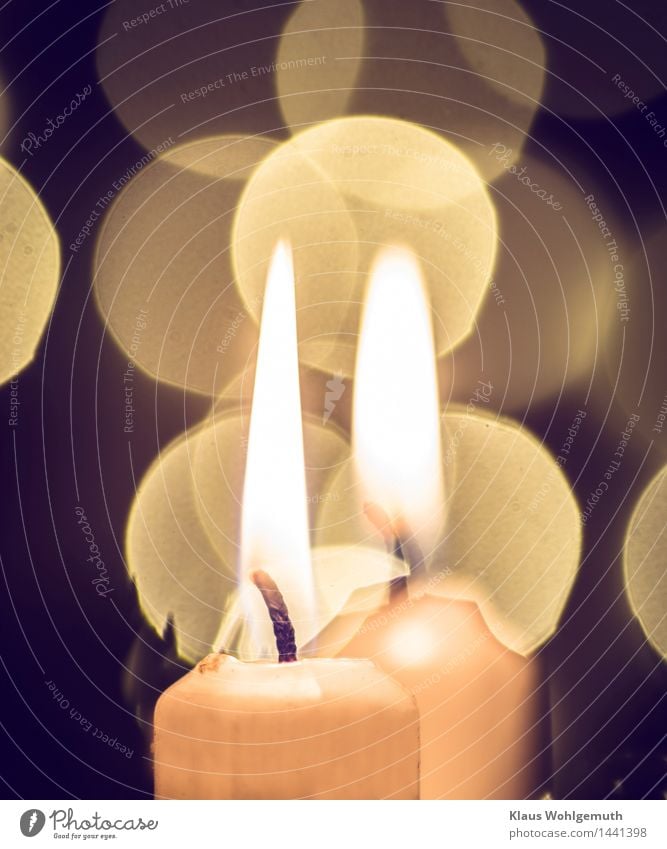 2. Advent Weihnachten & Advent Winter leuchten schön braun gold orange schwarz weiß ruhig Kerze Kerzenschein Kerzendocht Romantik brennen Farbfoto Nahaufnahme