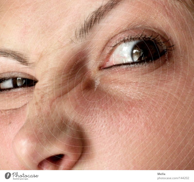 Shining oder ähnlich Mensch feminin Frau Erwachsene Auge Nase 1 Blick verrückt Wut Neid Gier Ärger gereizt Augenbraue Hautfalten Grimasse Farbfoto Nahaufnahme