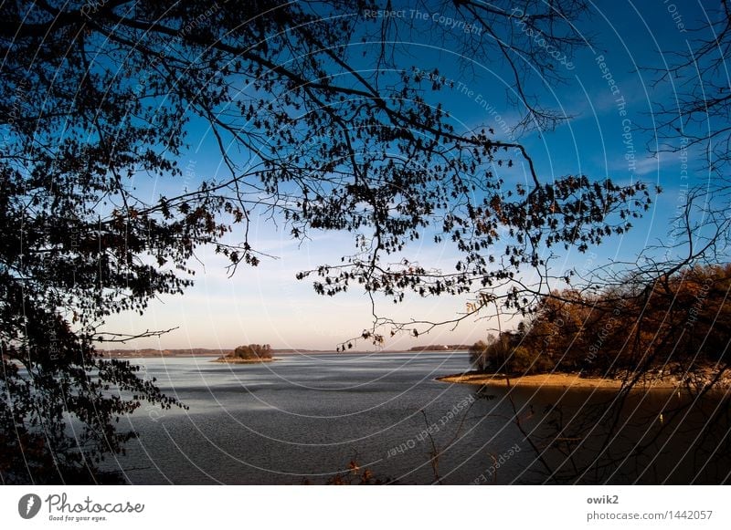 Durchblick Umwelt Natur Landschaft Pflanze Wasser Himmel Horizont Herbst Klima Schönes Wetter Baum Blatt Zweige u. Äste Insel See Cirrus Halbinsel Bucht ruhig