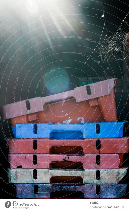 Fischbüchsen Kasten Kiste Stapel aufeinander Zusammensein Kunststoff leuchten hell blau rosa rot ruhig leer 6 Spinnennetz Spinngewebe Blendenfleck Hafen