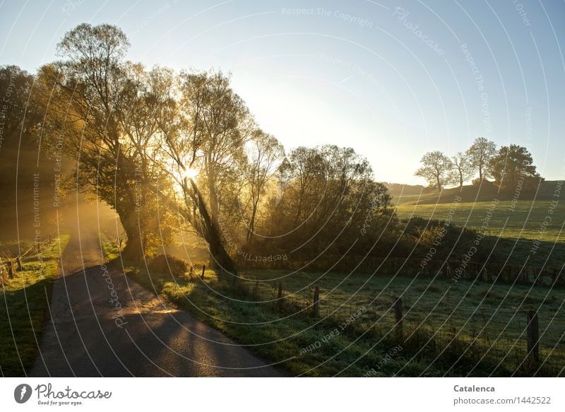 Morgenspaziergang in ländlicher Umgebung Natur Landschaft Pflanze Luft Sonnenaufgang Sonnenuntergang Sonnenlicht Herbst Schönes Wetter Wiese Wege & Pfade