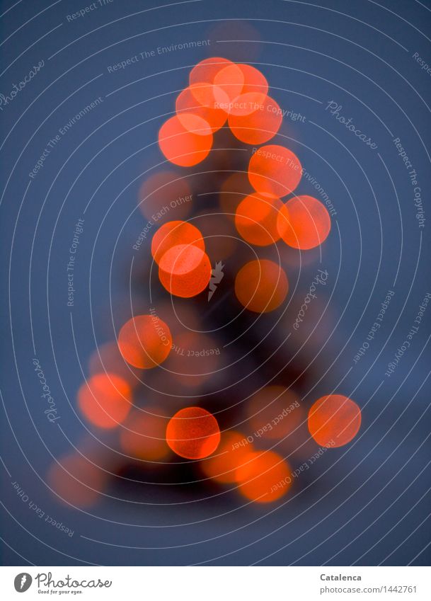Christbaum Weihnachten & Advent Pflanze Nachthimmel Winter Schnee Baum Tanne Kerze Weihnachtsbaum Feste & Feiern leuchten Kitsch blau grau orange schwarz