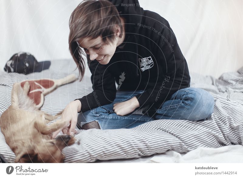 kein hund ist illegal Haustier Hund Erholung genießen Kommunizieren Lächeln lachen liegen schlafen Spielen Häusliches Leben Freundlichkeit Fröhlichkeit