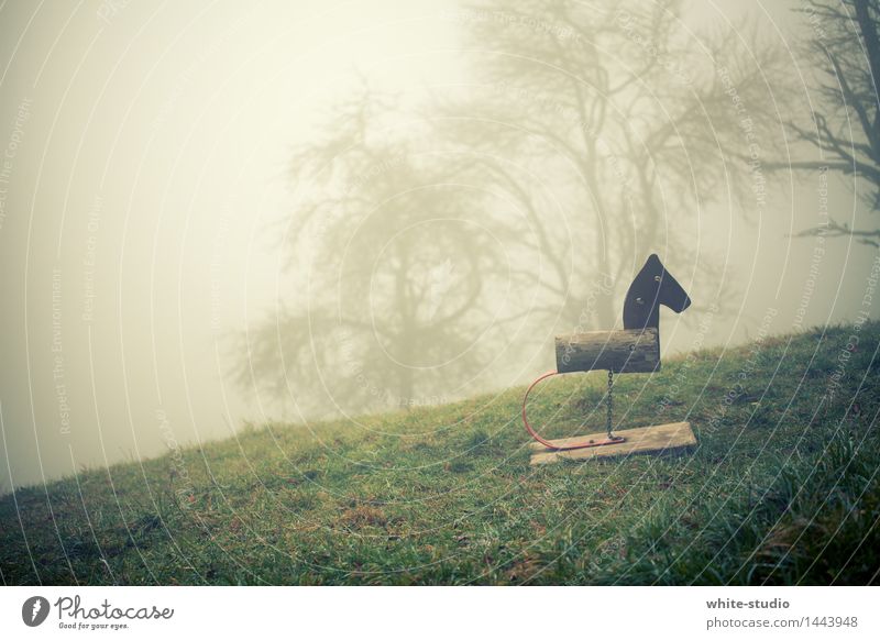 Düsterland Natur bedrohlich Alptraum Einsamkeit Idylle ruhig Nebel Nebelschleier Nebelstimmung Pferd Spielplatz Hoffnungslosigkeit Traurigkeit perspektivlos