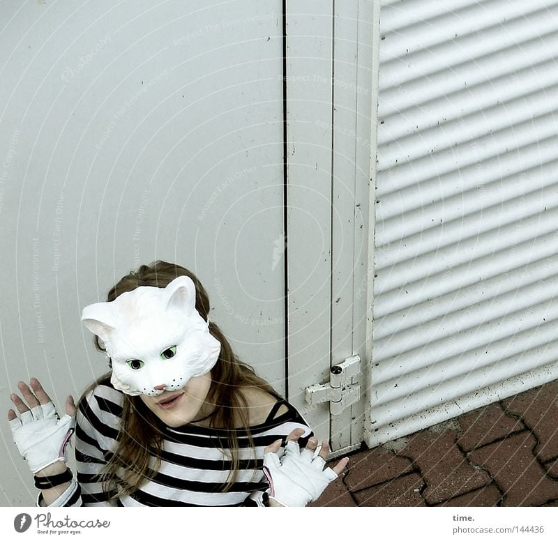 Sorry, Catfood Not Available [La Chamandu] Freude feminin Frau Erwachsene Finger Tür T-Shirt Maske Handschuhe Katze verrückt grau gestreift gestikulieren