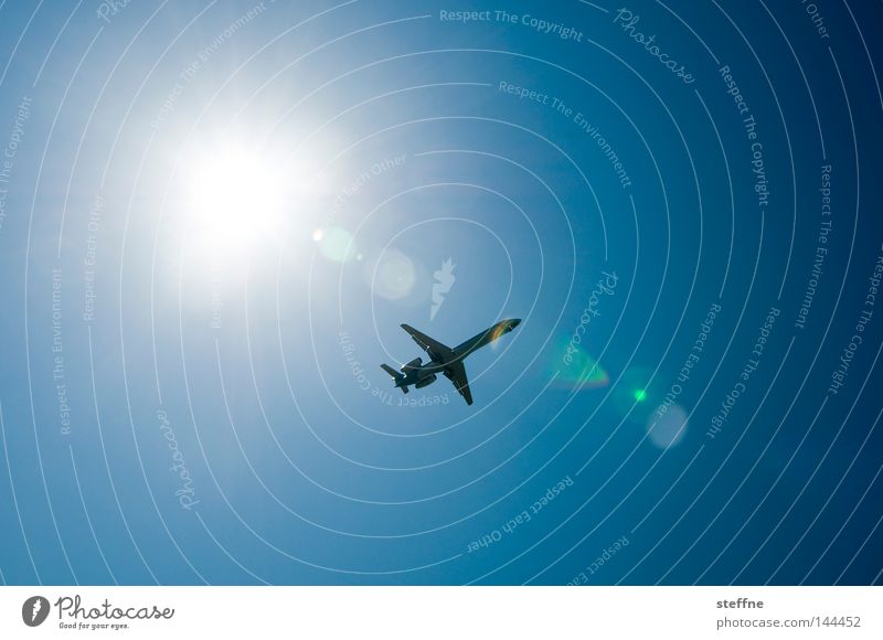 Überflieger Flugzeug fliegen Freiheit Sonne Sonnenstrahlen Reflexion & Spiegelung Schönes Wetter Blauer Himmel Düsenflugzeug Luftverkehr