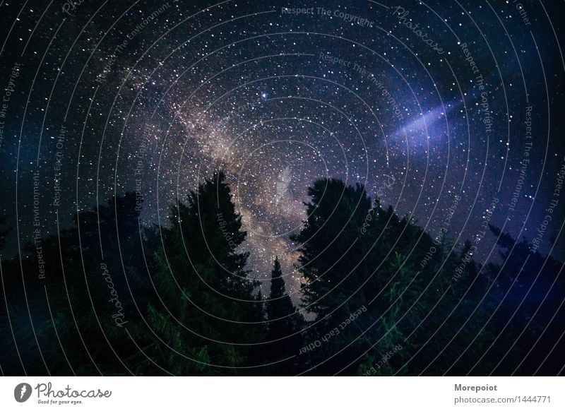 Milchstraße hinter dem Wald Landschaft Horizont Nacht Nachtaufnahme Nachthimmel Nachtfotografie Wolken Wolkenhimmel Wolkenlandschaft Stern Sternenhimmel