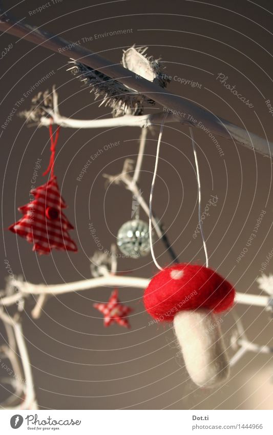 Filzpilz Dekoration & Verzierung Weihnachten & Advent stachelig rot weiß Zweig Datura Stechapfelzweig Pilz Fliegenpilz Weihnachtsbaum Stern (Symbol)