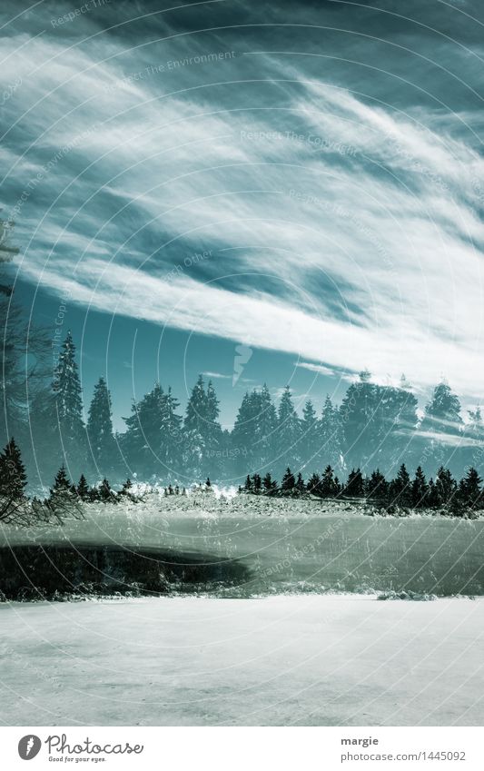 Traumhafte Winterlandschaft Ferien & Urlaub & Reisen Schnee Winterurlaub Umwelt Landschaft Himmel Wolken Klima Klimawandel Wetter Wind Eis Frost Hagel