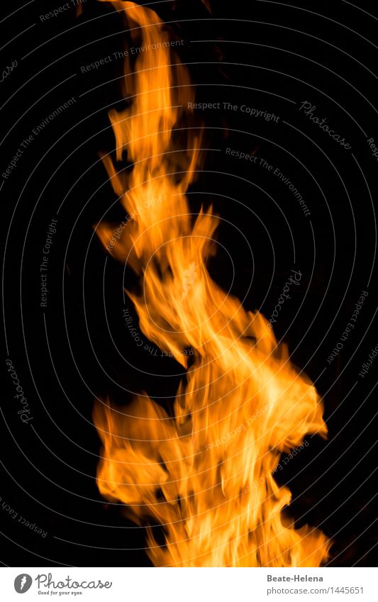 Die Wärme kommt von innen: das Feuer brennt heiß hell Kälte Dunkelheit Licht Leben brennen Flamme Glut Feuerstelle
