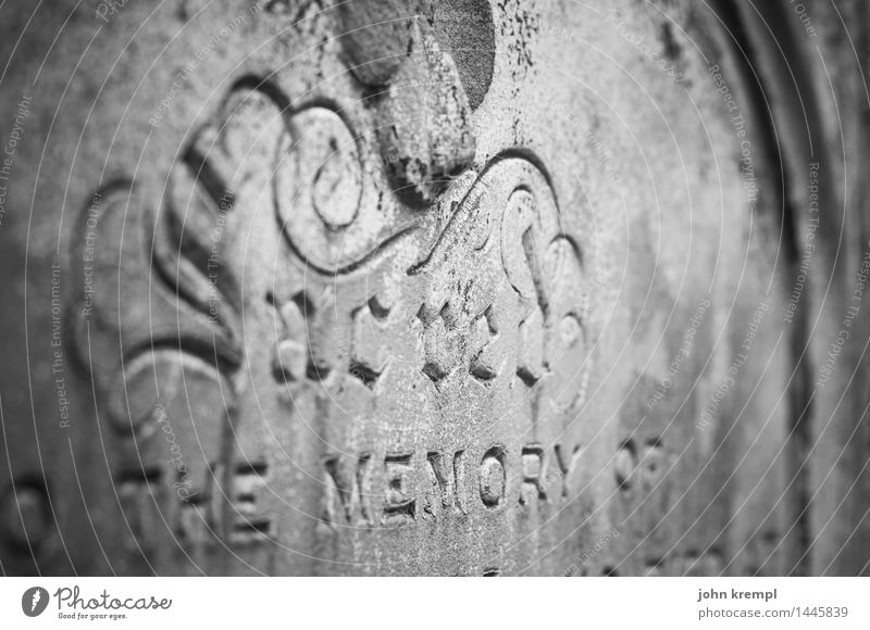 zu Tode betrübt Kirche Friedhof Grabstein Stein trist Romantik Opferbereitschaft Traurigkeit Trauer Senior Endzeitstimmung Religion & Glaube Nostalgie