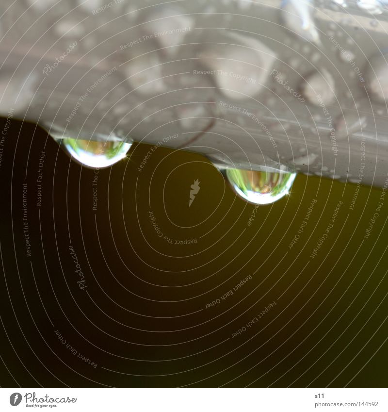 after raining Wassertropfen tropfend nass Regen grau grün braun Makroaufnahme Nahaufnahme Water Tröpfchen Wetter Klarheit Sarah Kasper s11 glasig Gewitter
